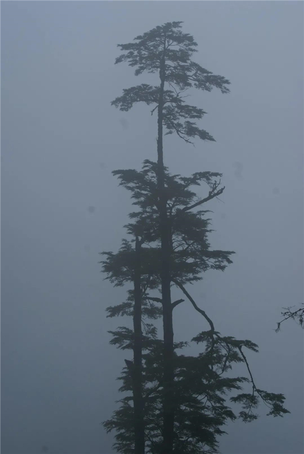 怒江旅游 怒江旅游