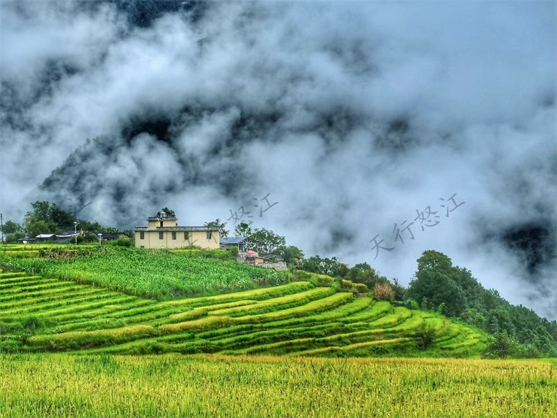 怒江旅游丙中洛,以優美的田園風光和宗教賦予的山水神性而著稱,有人神共居的人間仙境之譽