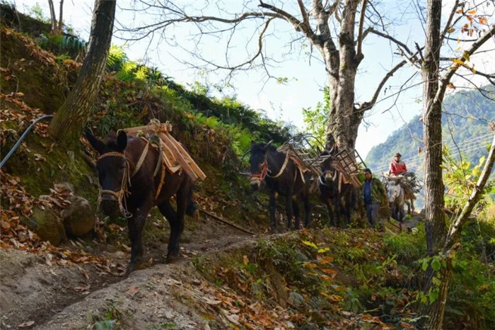 怒江旅游景點 怒江旅游景點