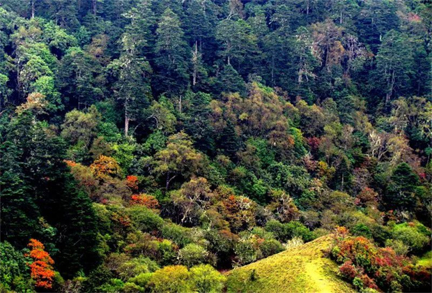 怒江旅行社：好消息！怒江新增4個國家3A級旅游景區(qū)